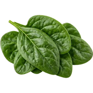 Фолиевая кислота
